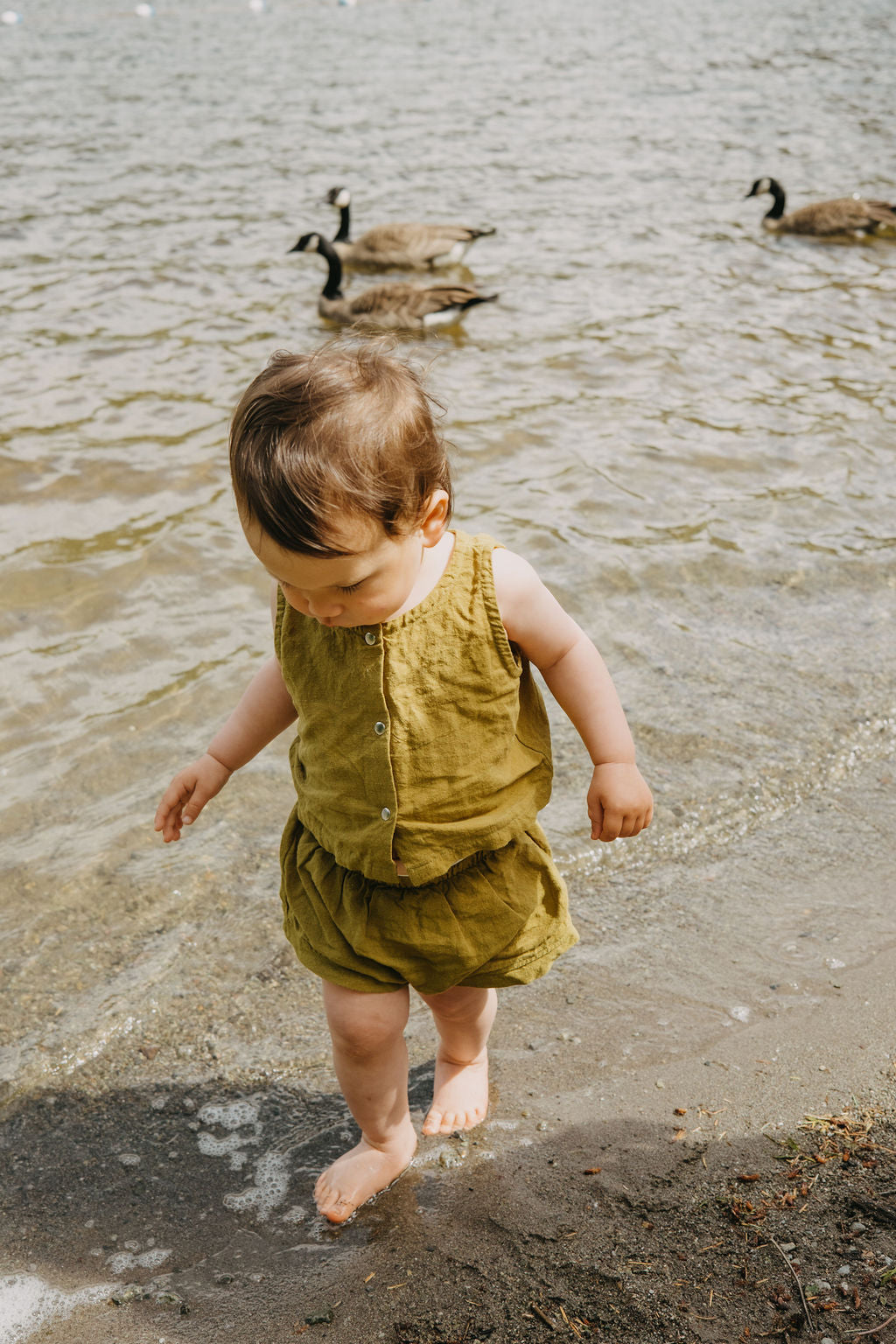 the button down vest